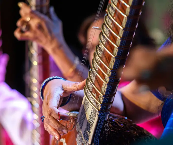 Sitar played by Dancing Peacock artists