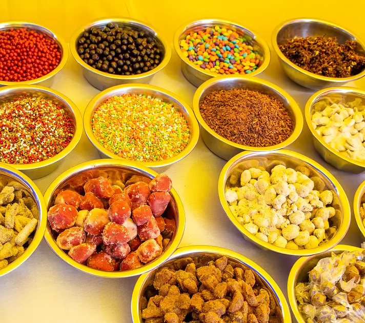 Rajasthani Mela